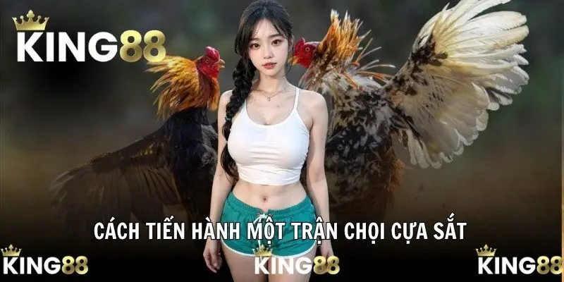 Đá Gà Cựa Sắt - Thế Giới Tranh Tài Đỉnh Cao Tại King88 2025 2 Cách tiến hành một trận chọi cựa sắt