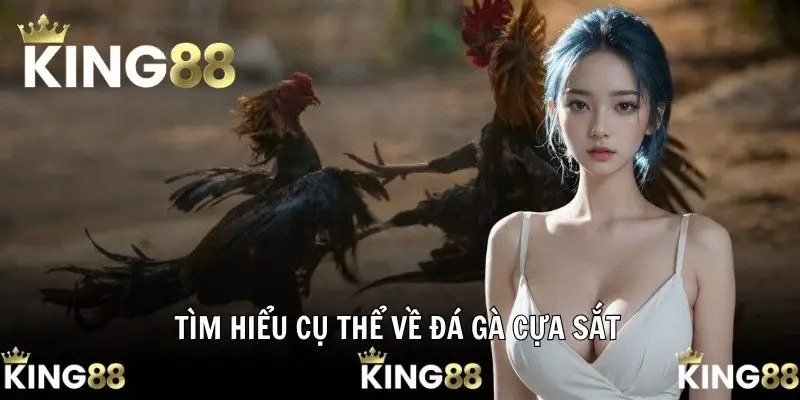 Đá Gà Cựa Sắt - Thế Giới Tranh Tài Đỉnh Cao Tại King88 2025 1 Tìm hiểu cụ thể về đá gà cựa sắt