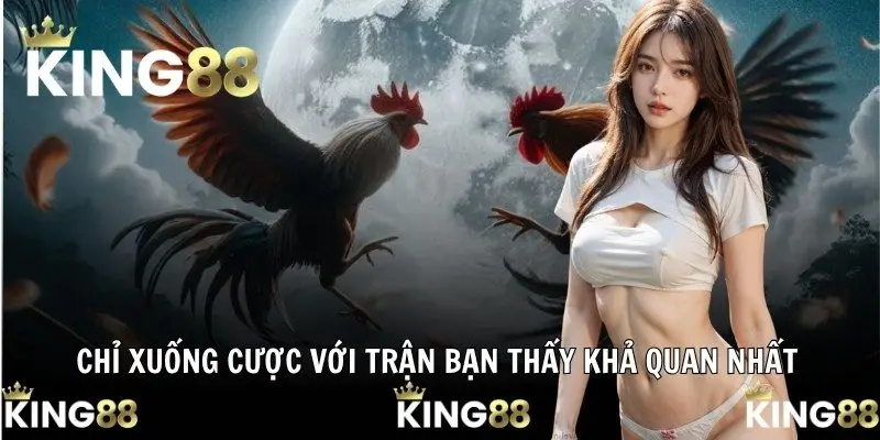 Đá Gà Online - Sân Chơi Hấp Dẫn Thời Đại Số 2025 Tại KING88 3 Chỉ xuống cược với trận bạn thấy khả quan nhất
