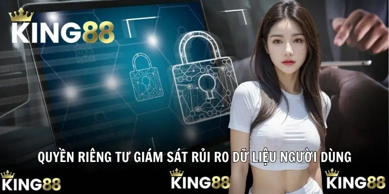 Quyền riêng tư giám sát rủi ro dữ liệu người dùng