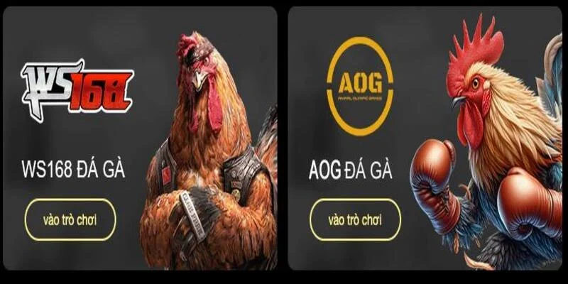 Đa dạng kèo cược đá gà tại sảnh