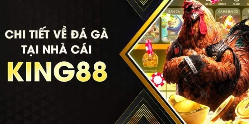 Tổng quan về sảnh đá gà King88